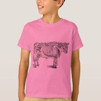 Antique Cow Skeleton Bones Fun