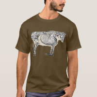 Antique Cow Skeleton Bones Fun