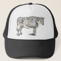 Antique Cow Skeleton Bones Fun