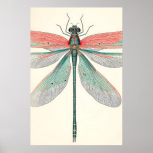 Antique Dragonfly Art Print Botanical Nature
