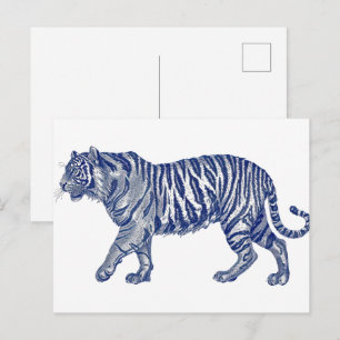 Antique drawing of a Tiger Postcard