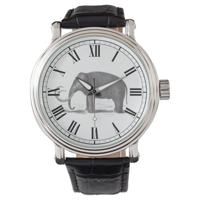 Antique Engraving of Wooly Mammoth Roman Numeral Watch (Front)