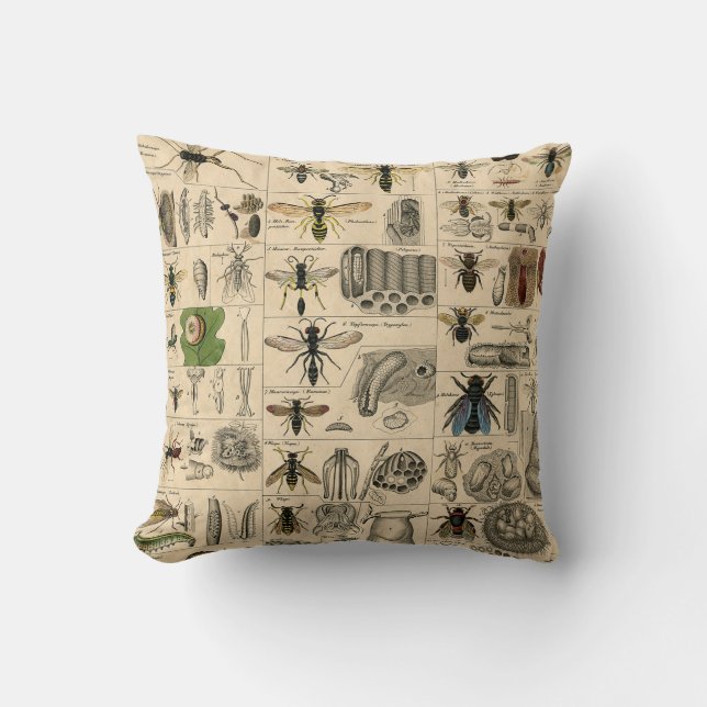 Antique Entomology Bees Wasps Natural History Cushion (Front)