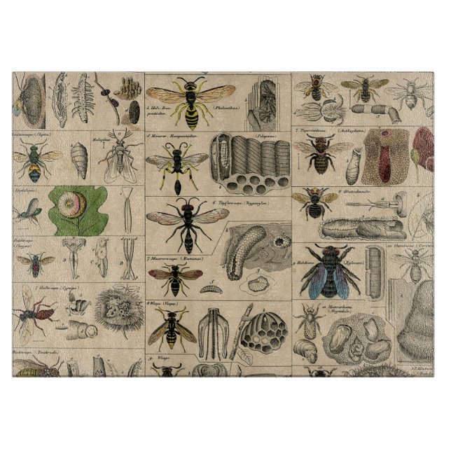 Antique Entomology Bees Wasps Natural History Cutting Board (Front)