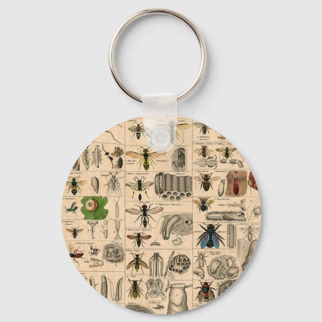 Antique Entomology Bees Wasps Natural History Key Ring (Front)