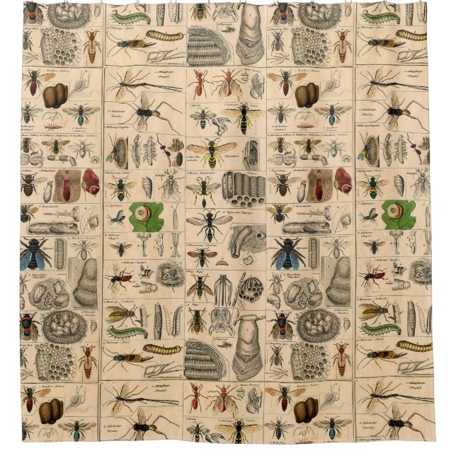Antique Entomology Bees Wasps Natural History Shower Curtain (Front)
