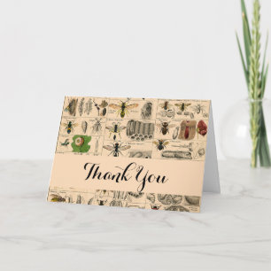 Antique Entomology Bees Wasps Natural History Thank You Card