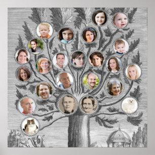 Antique Family Tree Insert Your Own Names & Photos Poster