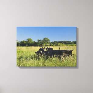 Antique Farm Wagon Canvas Print