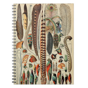 Antique Feather Bird Animal Wild Art Notebook