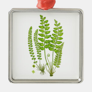 Antique Fern Print #12 Green Nature Botanical Art Metal Tree Decoration
