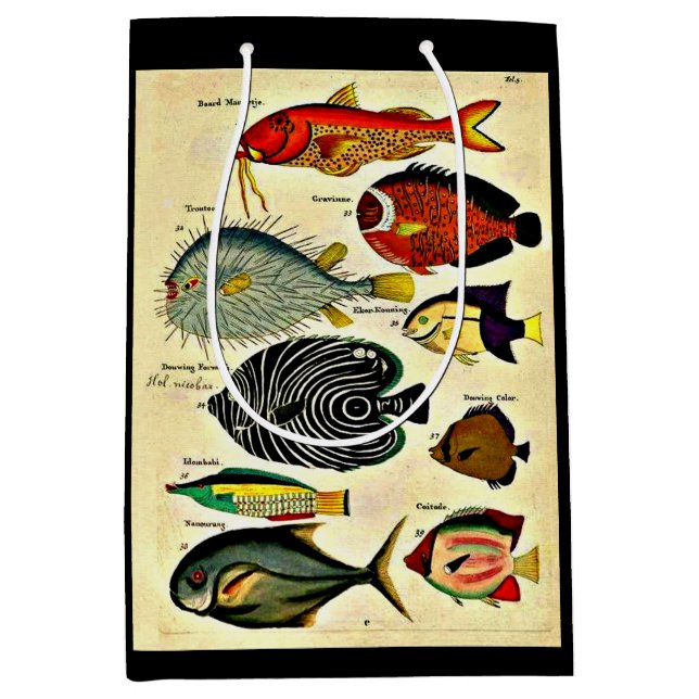  antique fish print medium gift bag (Front)