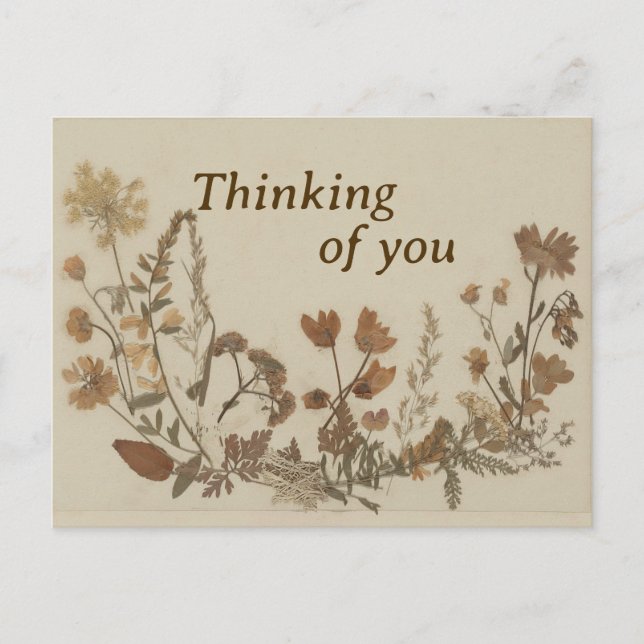 Antique Flower Collage Postcard (Front)