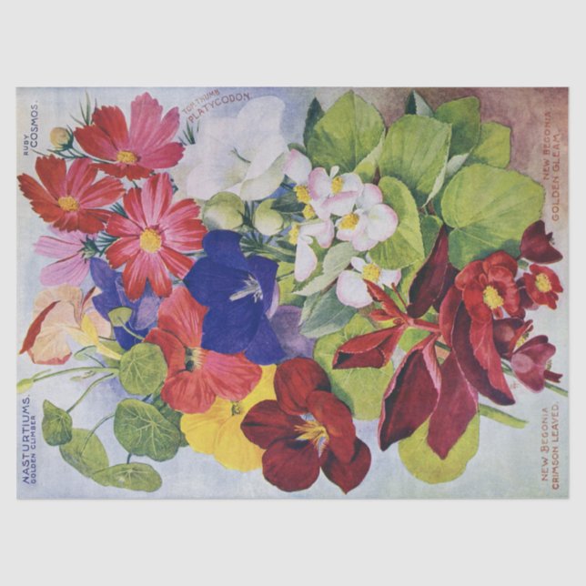 Antique Flower Seed Catalogue Tissue Paper 17x23 (Front)