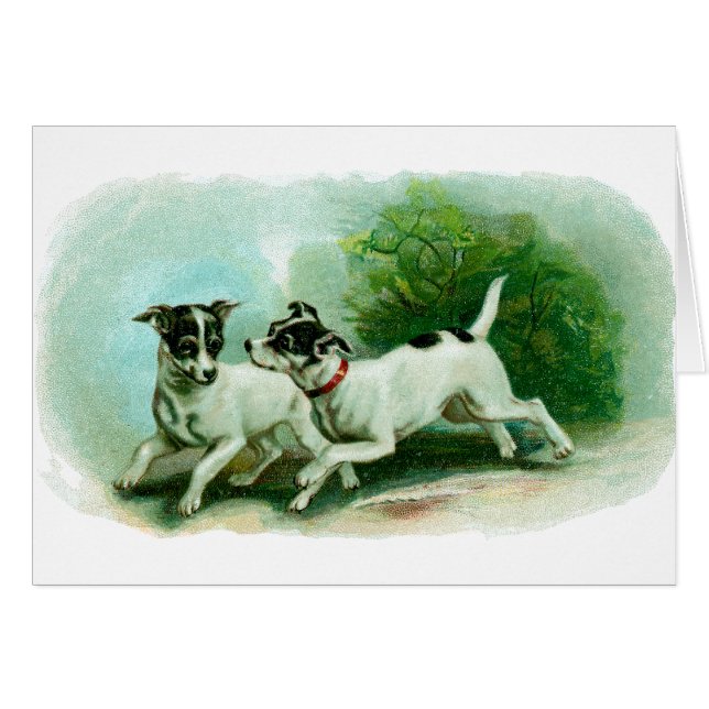 Antique Fox Terrier Illustration (Front Horizontal)