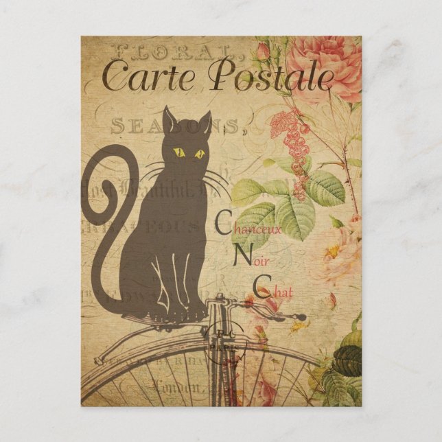 Antique French Kitty Postcard (Front)