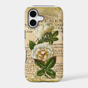 Antique French Roses