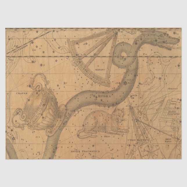 Antique Galaxy Map Series Design 3 Tissue Paper (Front)