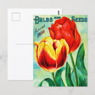 Antique Garden Advertisement, Yellow Red Tulips Postcard