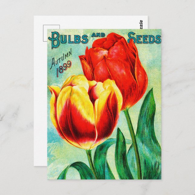 Antique Garden Advertisement, Yellow Red Tulips Postcard (Front/Back)