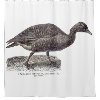 antique German avian print Wildgans wild goose Shower Curtain