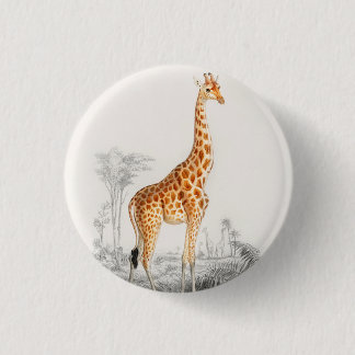Antique Giraffe Natural History Print Orbigny 3 Cm Round Badge