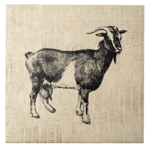 Antique Goat Illustration with Script Background Tile