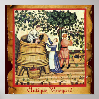 ANTIQUE GRAPE VINEYARD HARVEST PARCHMENT POSTER