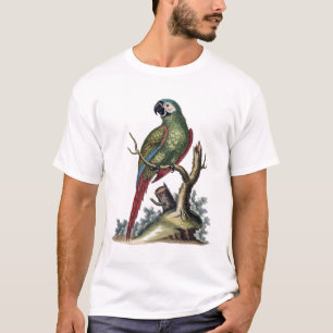 Antique Green Parrot T-Shirt