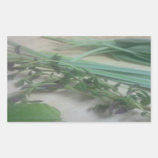 Antique Herbs Photography Rectangular Sticker