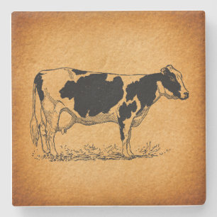 Antique Holstein Cow Farm Animal Illustration Stone Coaster