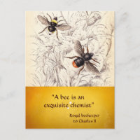 ANTIQUE HONEY BEE BEEKEEPER ,BEEKEEPING