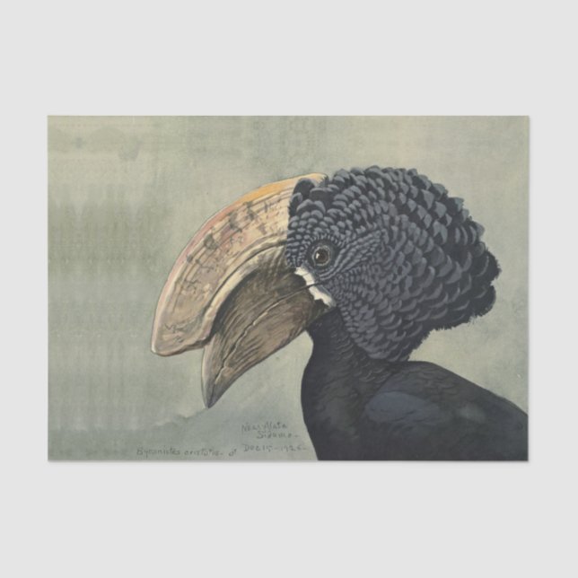 Antique Hornbill bird painting decoupage crafters' Tissue Paper (Front)