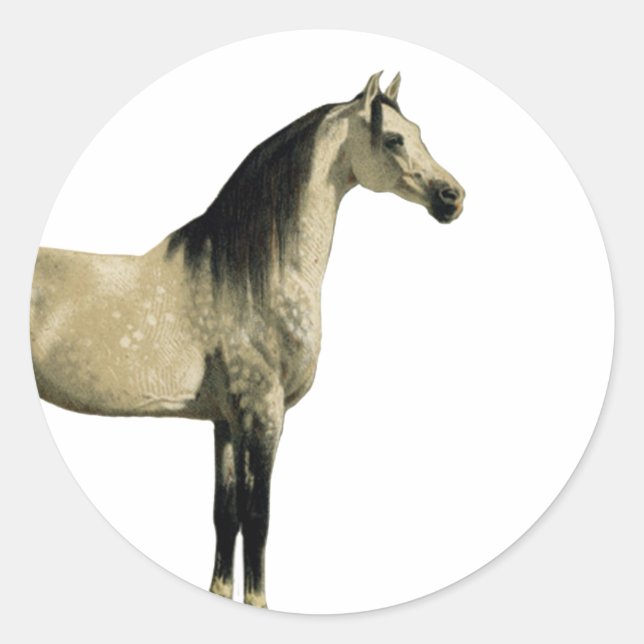 Antique Horses - Arabian Classic Round Sticker (Front)