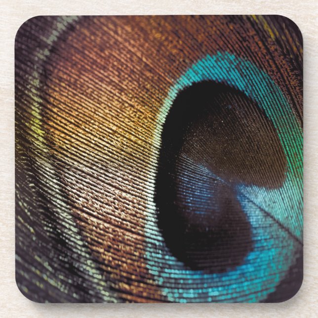 Antique Hues Peacock Feather Eye Coaster (Front)