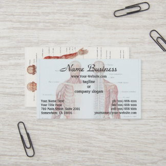 Antique Illustration of the Human Nervous System Business Card