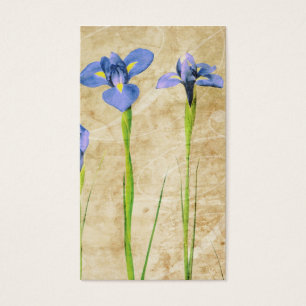 Antique Irises - Vintage Iris Background Customise