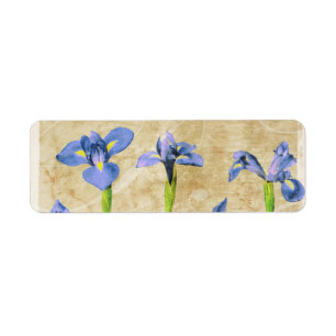 Antique Irises - Vintage Iris Background Customise