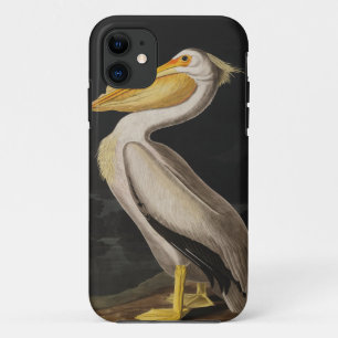 Antique John James Audubon White Pelican Coastal Case-Mate iPhone Case