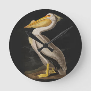 Antique John James Audubon White Pelican Coastal Round Clock