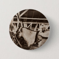 Antique Looking Horse Photo
