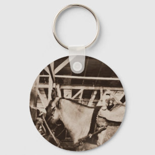 Antique Looking Horse Photo Key Ring