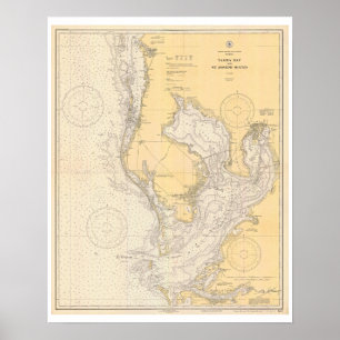 Antique Map of Tampa Bay Florida Poster