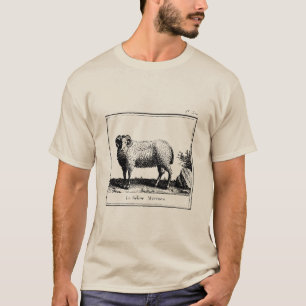 Antique Merino Sheep  T-Shirt