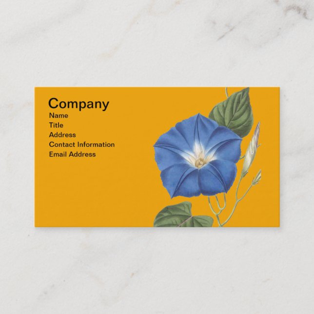 Antique Morning Glory Print Business Card (Front)