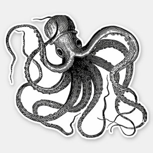 Antique Octopus Swimming