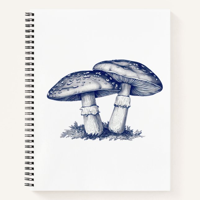 Antique of mushroom drawing notebook (Front)
