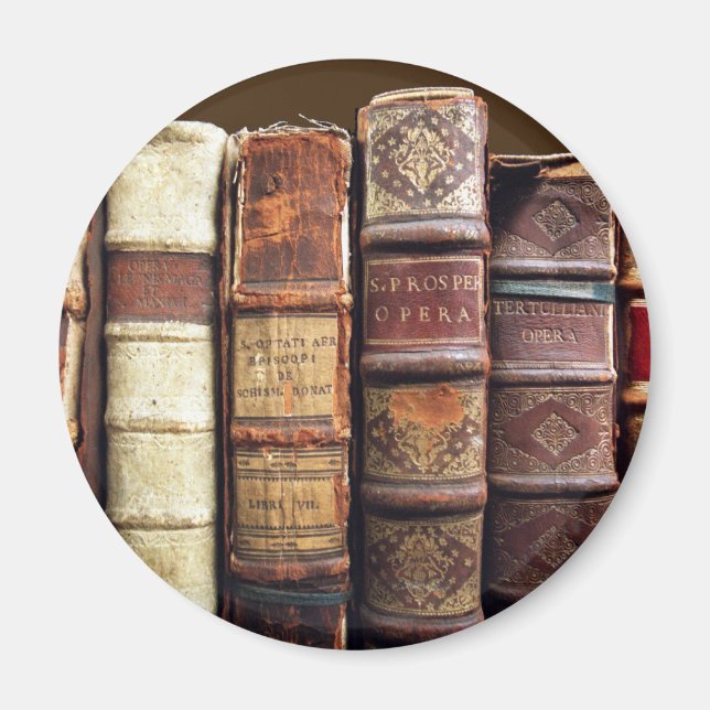 Antique Old Books Vintage Tomes Gift Magnet (Front)