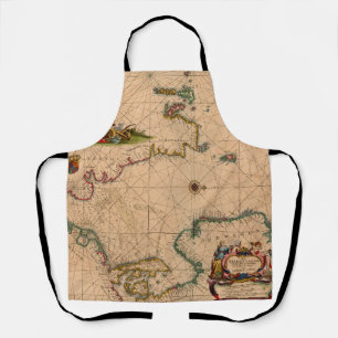 Antique Old Map Inspired (1) Apron