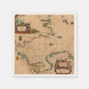 Antique Old Map Inspired (1) Napkin